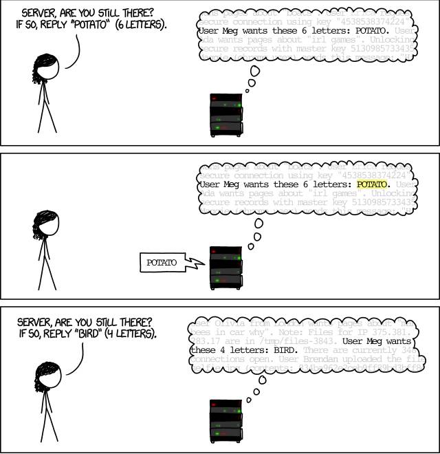 ../../_images/xkcd_heartbleed_explanation_12.jpg