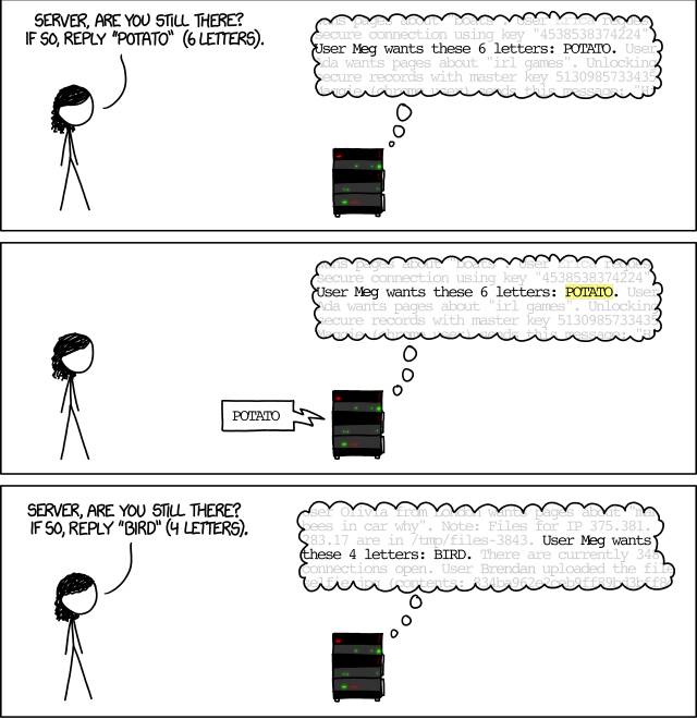 ../_images/xkcd_heartbleed_explanation_1.jpg